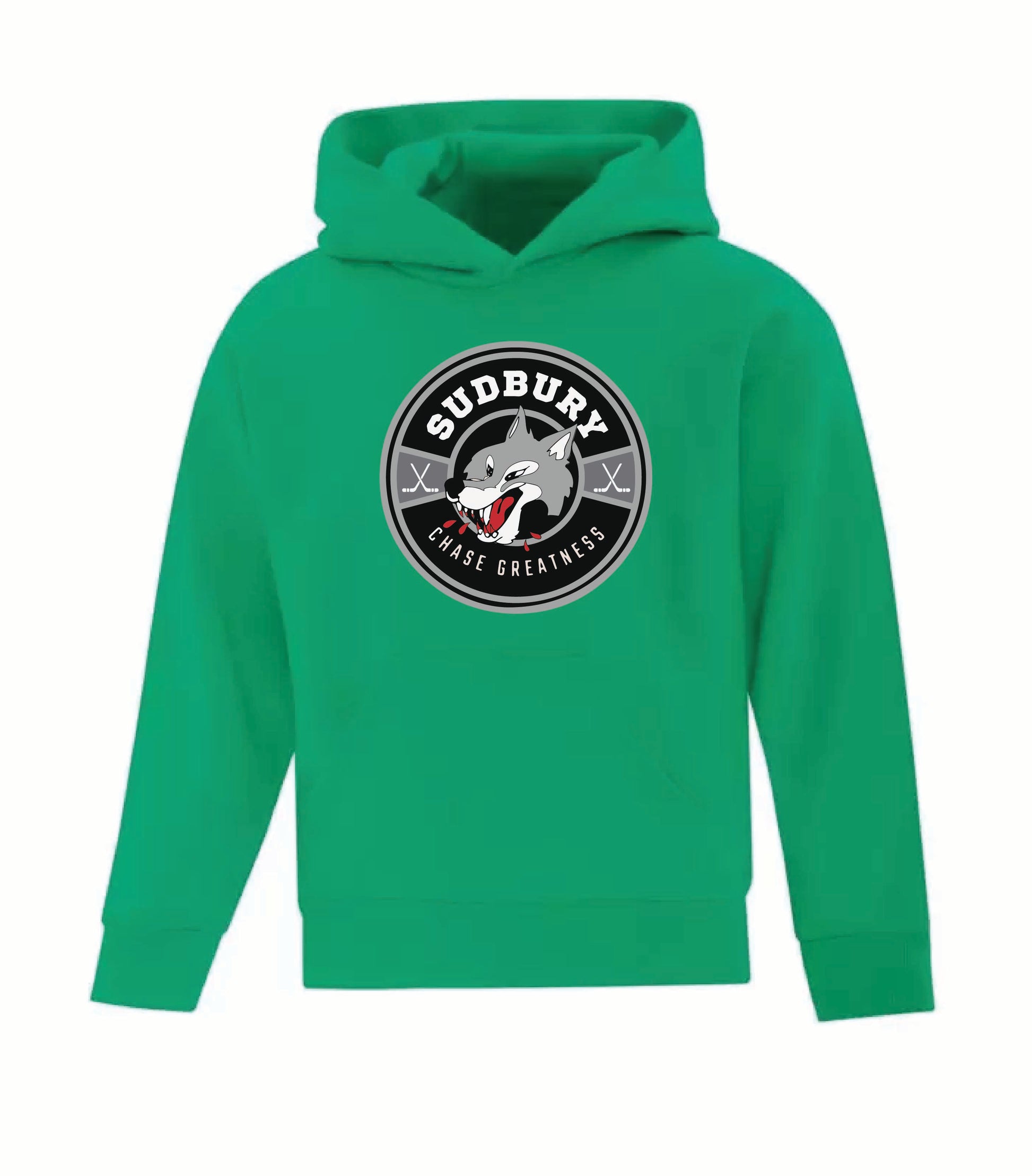 A photo of the SDGHA Chase Greatness - Youth Hoodie in colour green.