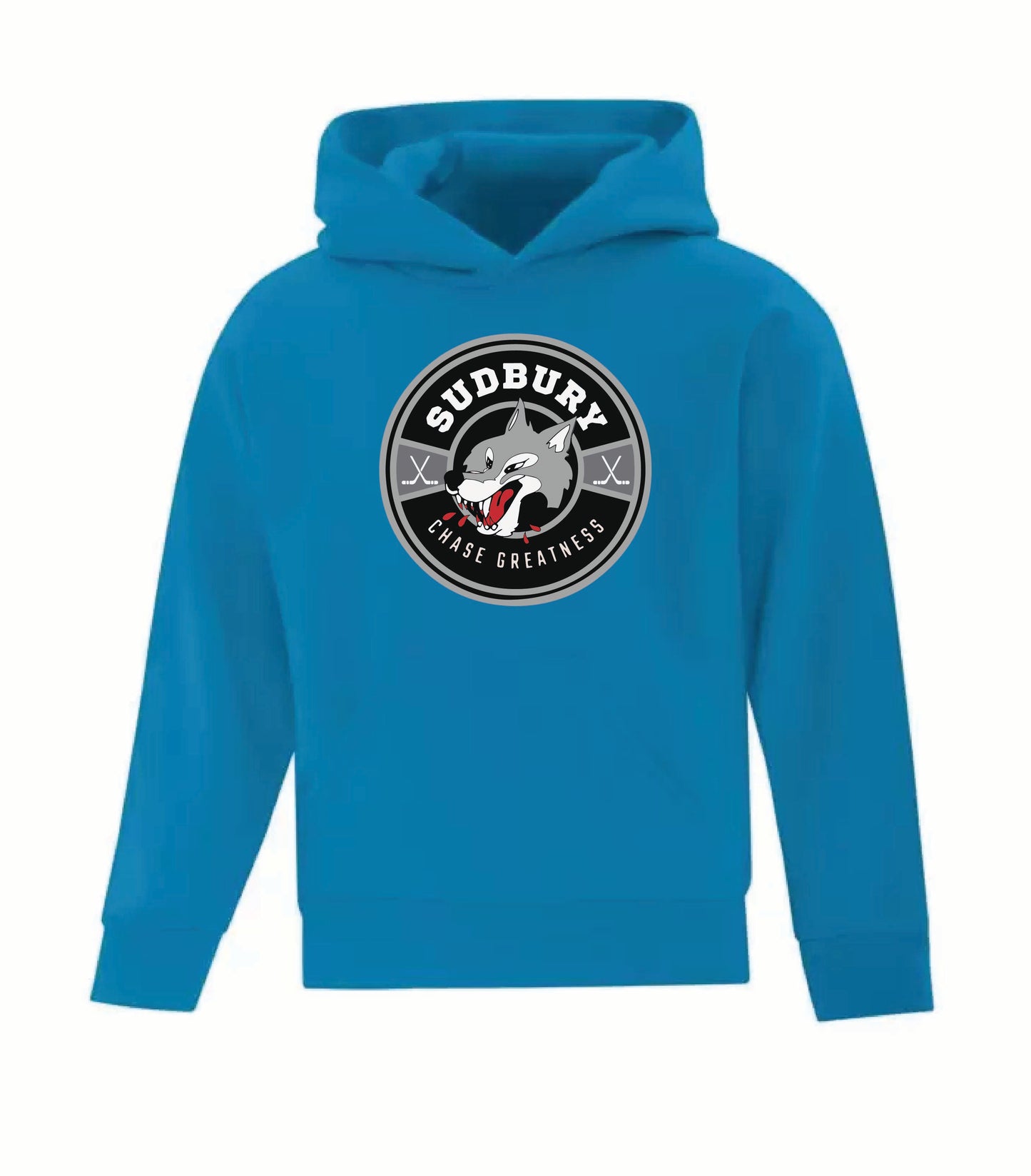 A photo of the SDGHA Chase Greatness - Youth Hoodie in colour blue.