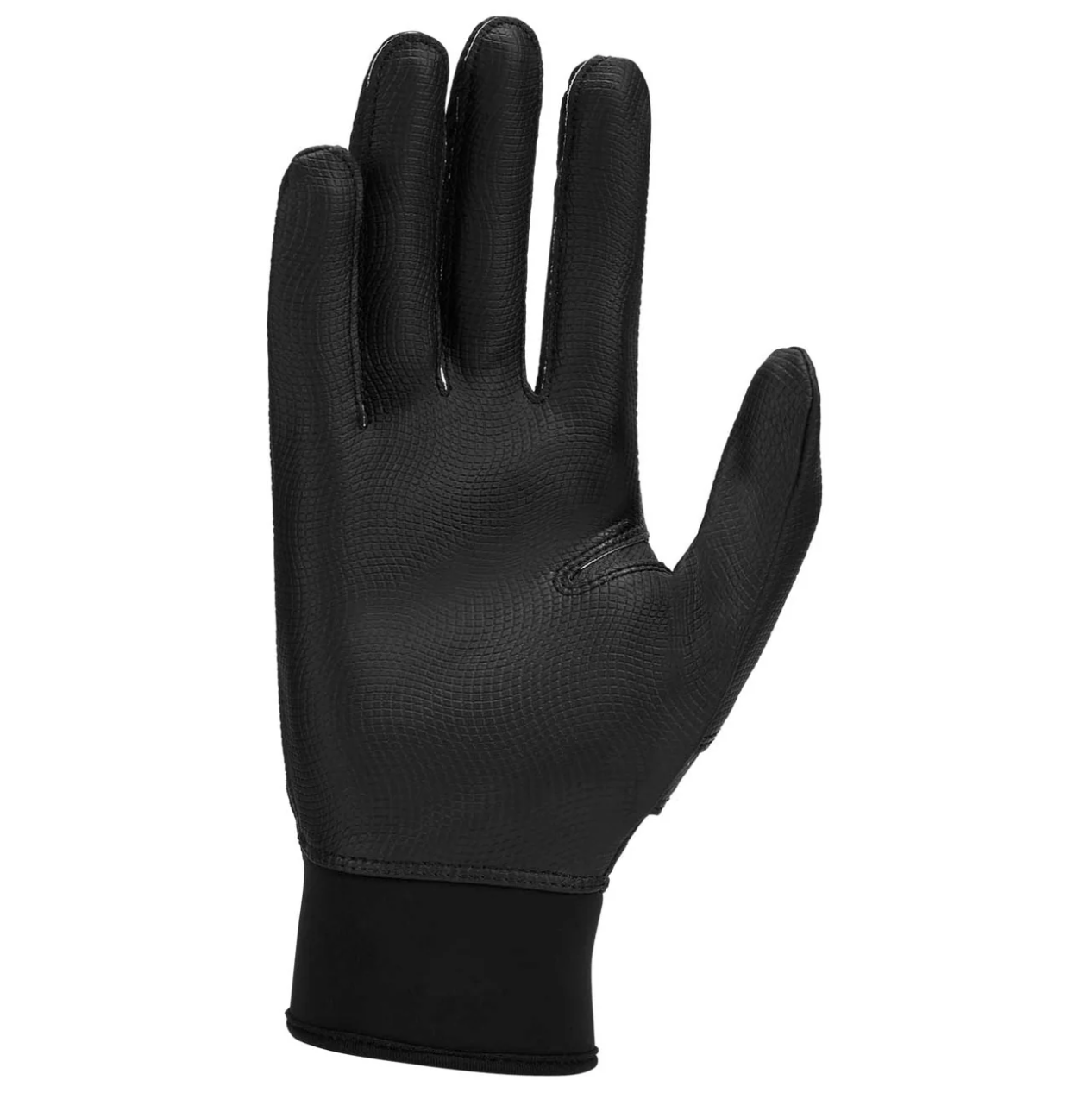 Nike Alpha 2.0 Baseball Batting Glove
