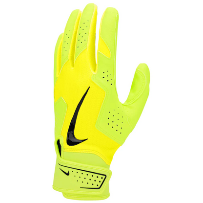 Nike Alpha 2.0 Baseball Batting Glove