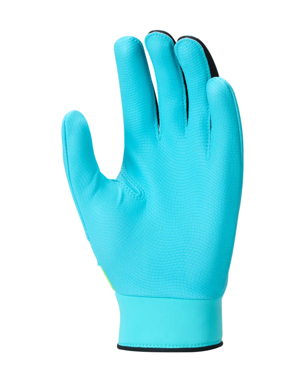 A photo of the Nike Alpha 2.0 Kids' Baseball Batting Glove in colour blue palm.
