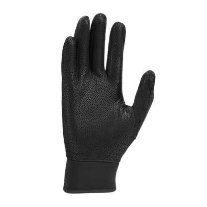A photo of the Nike Alpha Elite 2.0 Batting Gloves in colour black and silver.